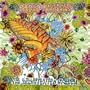 Illustrated Garden
