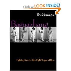 Baguazhang: Fighting Secrets of the Eight Trigram Palms