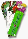 Wildflowers (Fandex Family Field Guides)