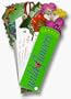 Wildflowers (Fandex Family Field Guides)