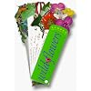 Wildflowers (Fandex Family Field Guides)