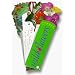 Wildflowers (Fandex Family Field Guides)