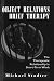 Object Relations Brief Therapy: The Therapeutic Relationship in Short-term Work (The library of object relations)