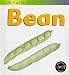 Book Life Cycle of a Bean (Heinemann First Library)