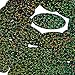 Oval 1.5
