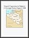 Airport Expansion in Belgium: A Strategic Entry Report, 1998
