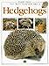 Everything You Want to Know About Hedgehogs