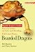 Bearded Dragons (Reptile Basics)