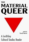 The Material Queer: A Lesbigay Cultural Studies Reader (Queer Critique)