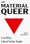 The Material Queer: A Lesbigay Cultural Studies Reader (Queer Critique)