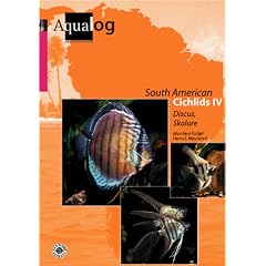 Aqualog, Southamerican Cichlids IV - Diskus und Skalare