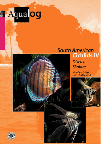 Cichlids