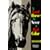 Good Horse is Never a Bad Color