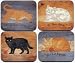 Stray Cats by Jason - Set of 4 Placemats
