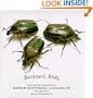 Backyard Bugs