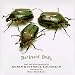 Books : Backyard Bugs