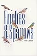 Finches and Sparrows