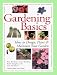 Gardening Basics: How To Design, Plant & Maintain Your Garden