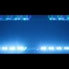 Video of Vikter Duplaix
