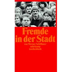 Fremde in der Stadt: Zehn Essays �ber Kultur und Differenz