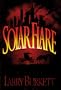 Solar Flare