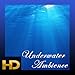 Underwater Ambience HD - Stress Relief