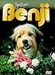 Benji [DVD] [1973] [US Import]