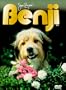 Benji