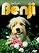Search : Benji