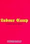 Labour Camp: Failure of Style Over Substance