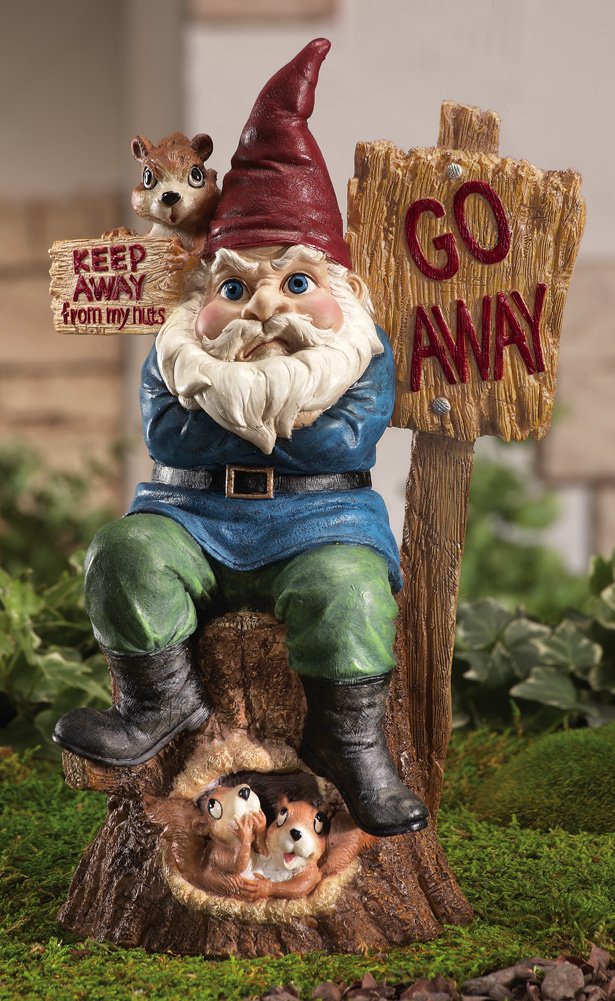47 Garden Gnomes the Unique Way to Present