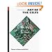 Art of the Celts: From 700 BC to the Celtic revival (World of Art)