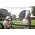 Thumbnail image of Robert Wyatt