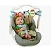 Infantino Car Seat Buddies