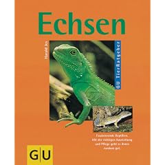 Echsen: Faszinierende Reptilien. Mit der richtigen Ausstattung und Pflege geht es ihnen rundum gut