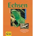 Echsen: Faszinierende Reptilien. Mit der richtigen Ausstattung und Pflege geht es ihnen rundum gut