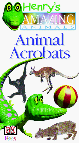 Animal Acrobats by Amazing Animals Videos