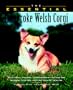 The Essential Pembroke Welsh Corgi