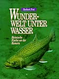 cover of Wunderwelt unter Wasser. Heimische Fische vor der Kamera