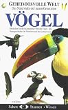 Eigenschaften Euro Video  / Geheimnisvolle Welt: Vögel