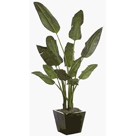 Artificial Growth P-50165 - 8 Foot Bird Of Paradise Plant - Green by Artificial Growth