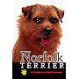Norfolk Terrier (Rare Breed)