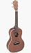 Lanikai LU-21CE Concert Acoustic-Electric Ukulele Lanikai LU-21CE Concert Acoustic-Electric Ukulele