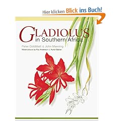 Gladiolus in Southern Africa