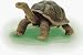 Tortoise - 4D Puzzle