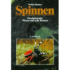 Spinnen. Faszinierende Wesen auf acht Beinen