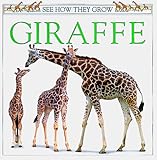 Giraffe (See How They Grow (Dorling Kindersley))