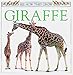 See How They Grow: Giraffe