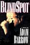 Blind Spot