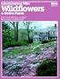 Landscaping With Wildflowers and Native Plants